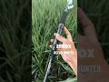 Joran jigging kuat dan keren dari Zerox. Joran zerox ocean hunter, solid carbon.