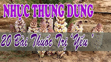 Nhục Thung Dung Và 20 Bài Thuốc Mệnh Danh Biệt Dược Chốn Phòng The
