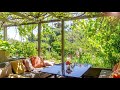 Sunny Garden Ambience Bird Noise For Calm Long Version 