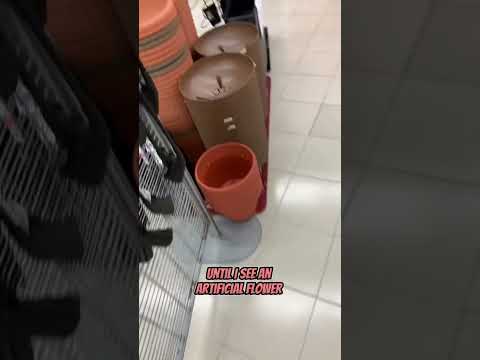 Walk Into Store