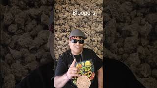 Sunday Bloopers are back in style! So sit back relax and have fun for a while!! Thank you! 