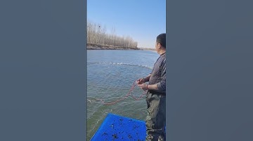 How to throw a fish net into the water #fishing #fish #shorts 8