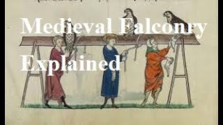 A quick look at Medieval Falconry