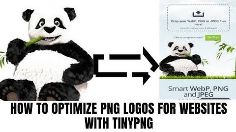 How to optimize PNG Logos for websites with TinyPNG