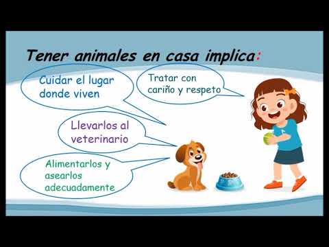 Medalla Cuyo dormitar Sesión: Cuidamos los animales de nuestro entorno - 1er grado - YouTube