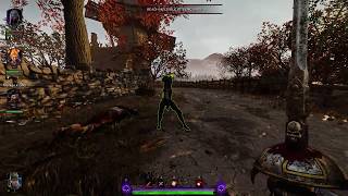 Vermintide 2 Shade Bot Glitch Pounding Heal Pots