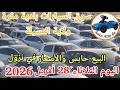 اسعار السيارات في سوق بلدية مقرة ولاية المسيلة يوم الثلاثاء 28 أفريل 2026 أوطو ألو ديزاد 