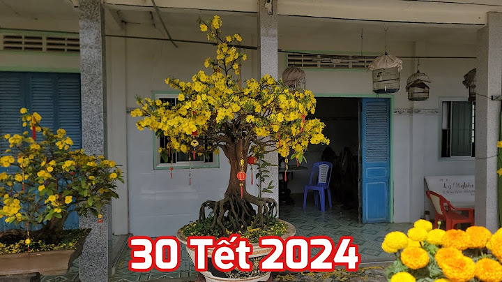 Hồng mao là lông con gì năm 2024