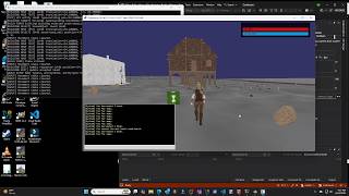 Continuum – From Idea to Playable MMO