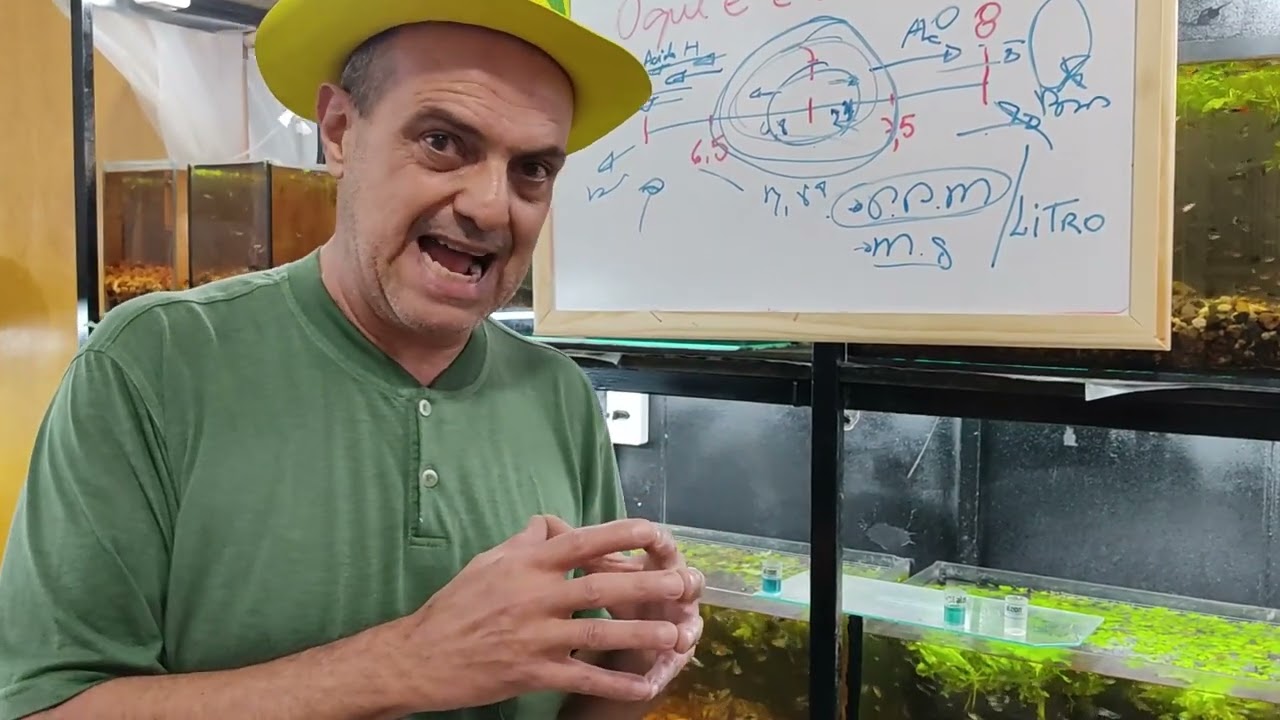 PH Alcalinidade o que é e que interessa Final