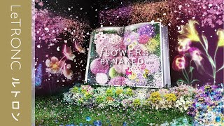 デジタルアートのお花見!日本橋で「フラワーズバイネイキッド2020‐桜‐」を開催