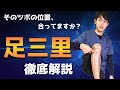 【足三里】ツボの探し方を鍼灸師が徹底解説┃練馬区 大泉学園 仙灸堂