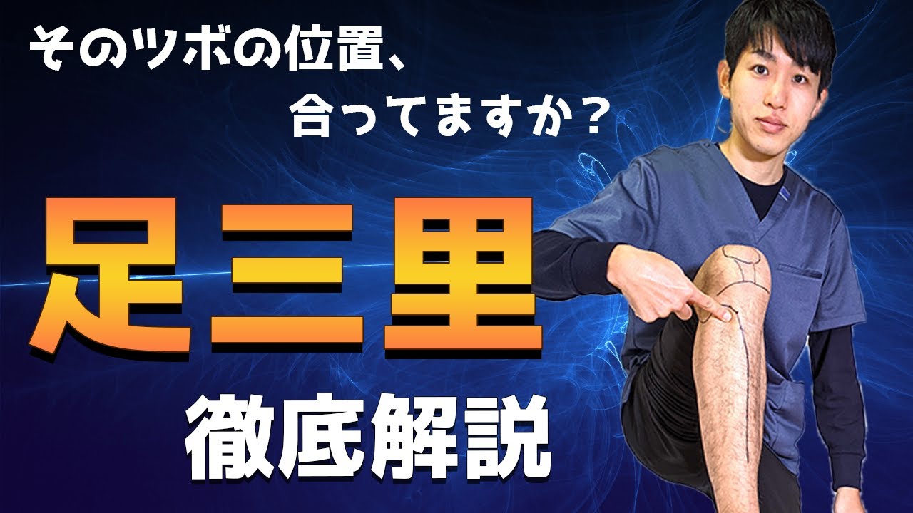 【足三里】ツボの探し方を鍼灸師が徹底解説┃練馬区 大泉学園 仙灸堂
