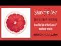 Saves The Day "Everlasting Everything"