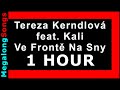 Tereza kerndlov feat kali  ve front na sny  1 hodina  1 hour 