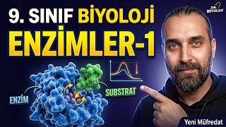 25. Ders: Enzimler | Dr. Biyoloji 9. Sınıf Yeni Müfredat 25. Ders: Enzimler | Dr. Biyoloji 9. Sınıf Yeni Müfredat