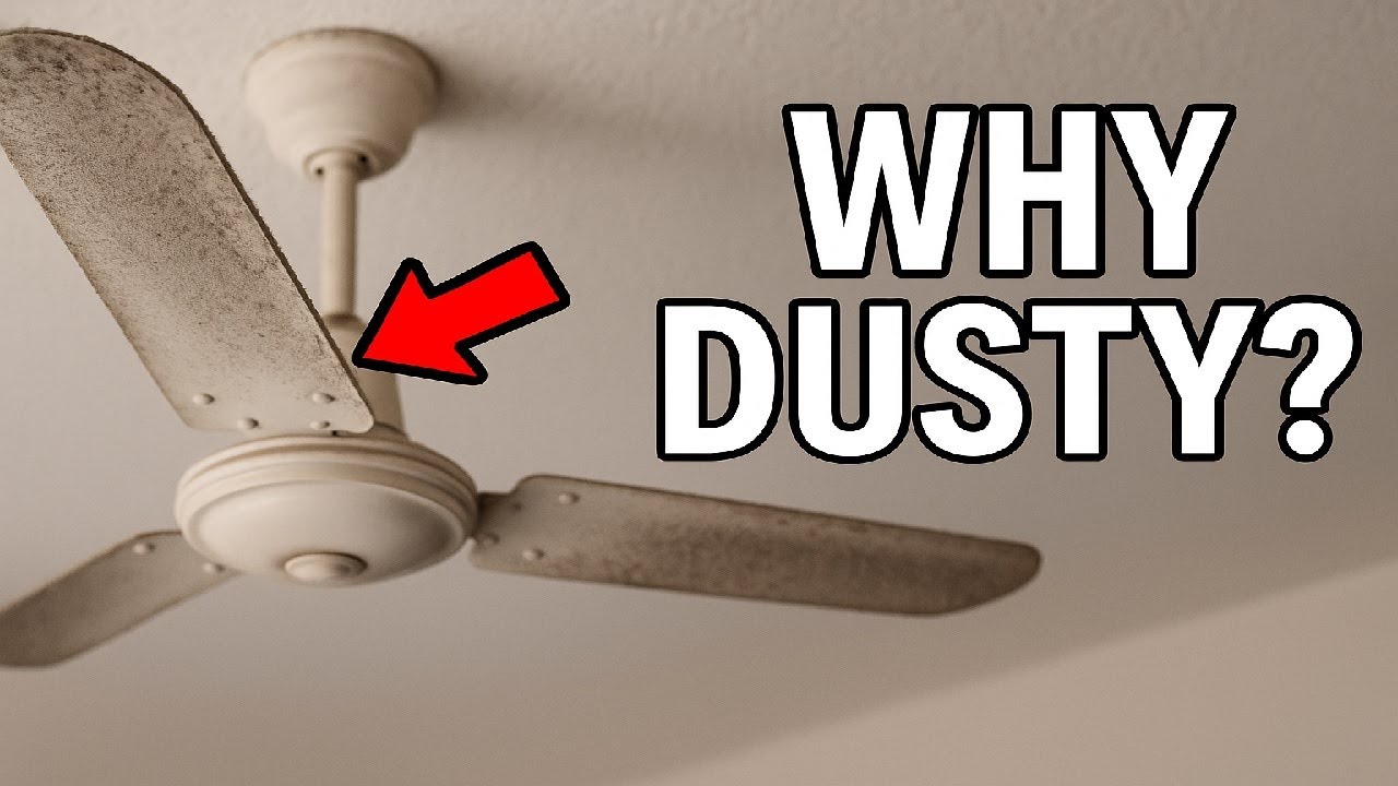 Why Ceiling Fans Collect So Much Dust — The Surprising Science Explained!