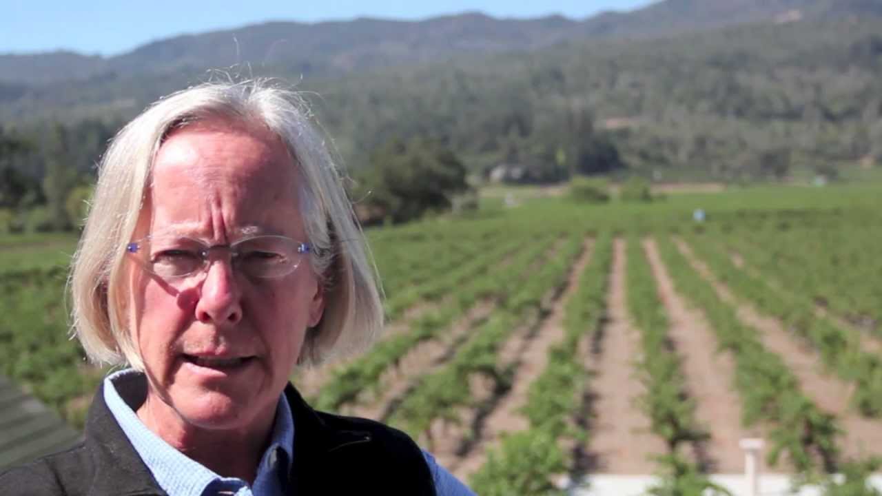 Corison Cabernet Sauvignon 2020 Famelounge-PS