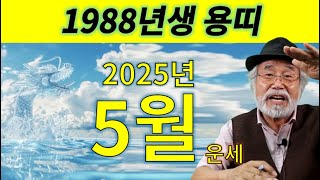 2025년 용띠 5월 운세  [1988년] #2025년운세 #용띠 #용띠운세 #을사년운세 #1988년운세 #…