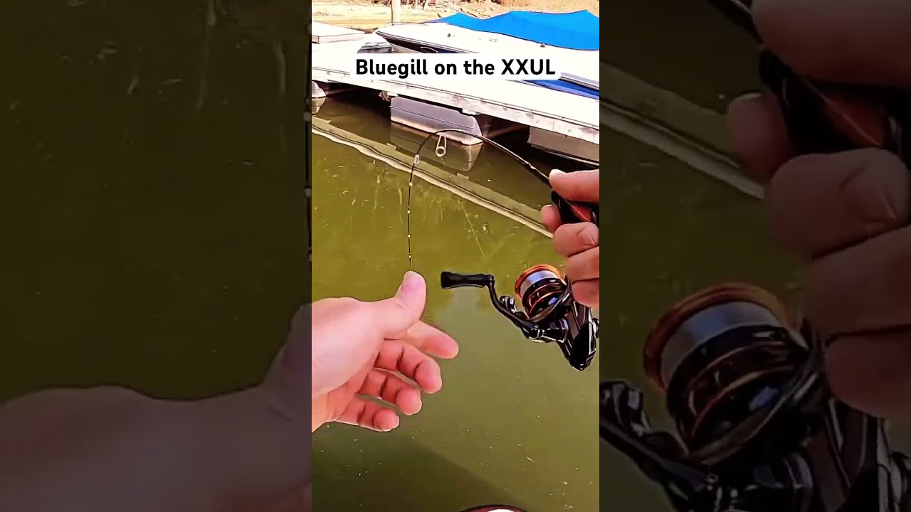 XXUL Daiwa Rod Ultralightfishing Panfish Bluegillfishing Bluegill