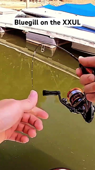 XXUL Daiwa Rod #ultralightfishing #panfish #bluegillfishing #bluegill