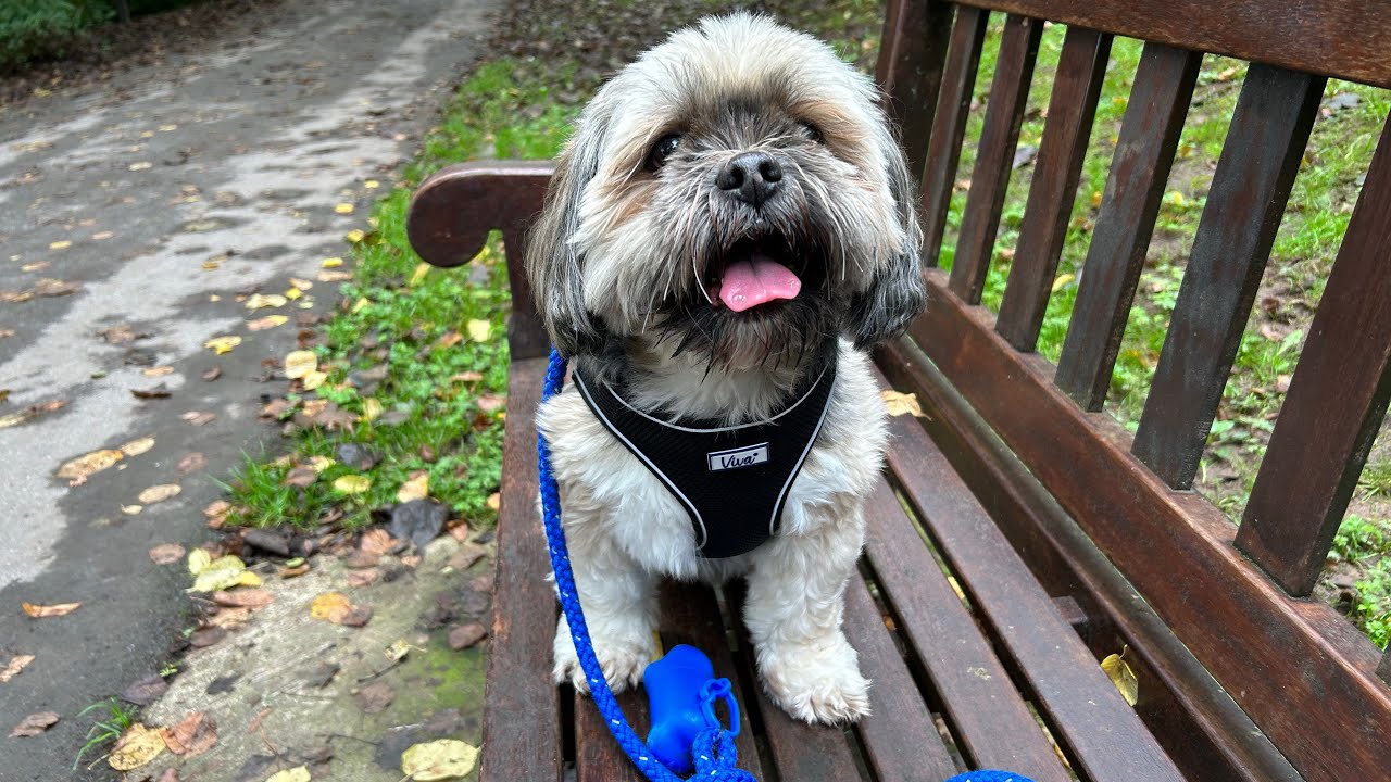 How to gain inspiration for your Art abstractpainting artwork art 