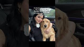 He was hiding it from me... 💔 #goldenretriever #BetterWild #ad