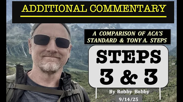 Step 3 & 3 - Additional Commentary (ACA Recovery Talk)