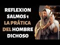 SALMOS 1 REFLEXION 🔜 LA PRÁTICA DEL HOMBRE DICHOSO - SALMOS 1 DIOS HABLA HOY