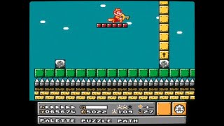 Mario Adventure 3: 5-3 (Second Quest) Palette Puzzle Path (3 Stars)
