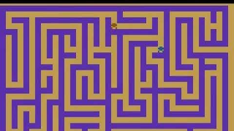 Maze Craze A Game of Cops 