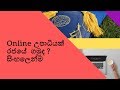 online degree programs in srilanka-Government Universities