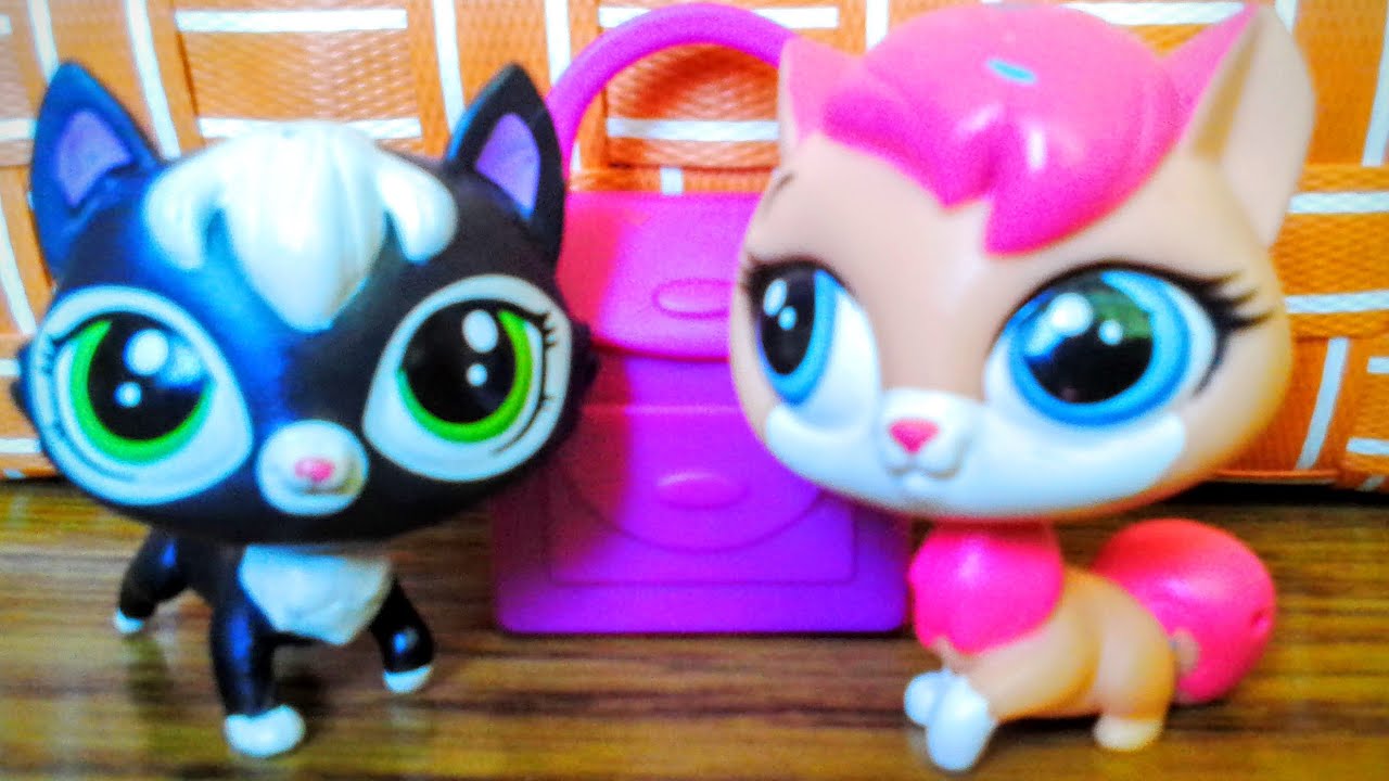 LPS Začíná škola