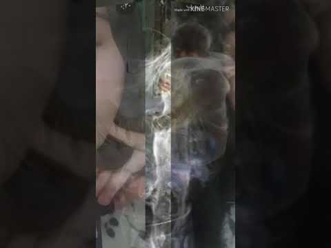 أجمل غنية سمعني نبض