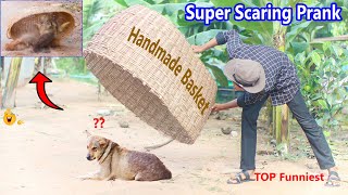 Wow !! Scaring Prank Handmade Basket vs Prank Sleeping Dog , So Funny try not to Laugh