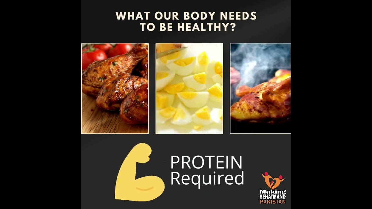 What our BODY needs to be HEALTHY?