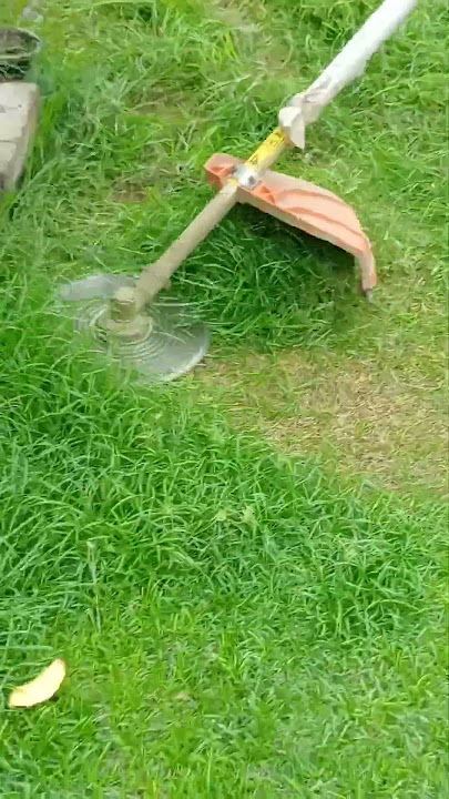 Grass Cutter Saw Blade is the Best. #grasscutting