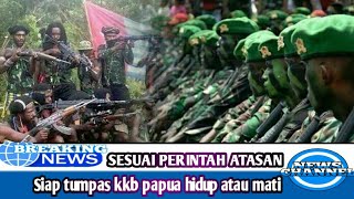 Danrem Jebolan Kopasus Ultimatum Kkb Papua