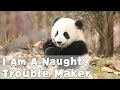 I Am A Naughty Trouble Maker | iPanda