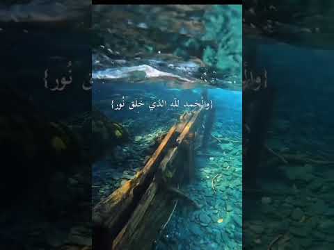 دعاء محمد البراك 