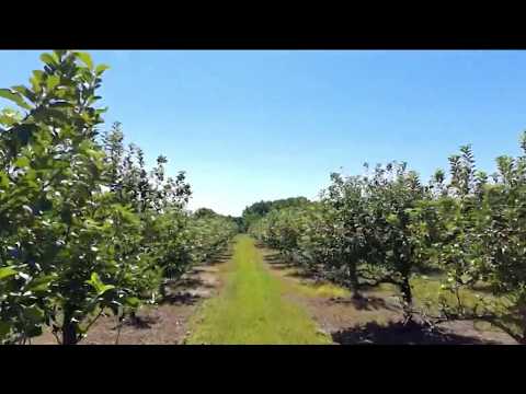 South Jersey farms struggle after spring freeze leaves them without crops
