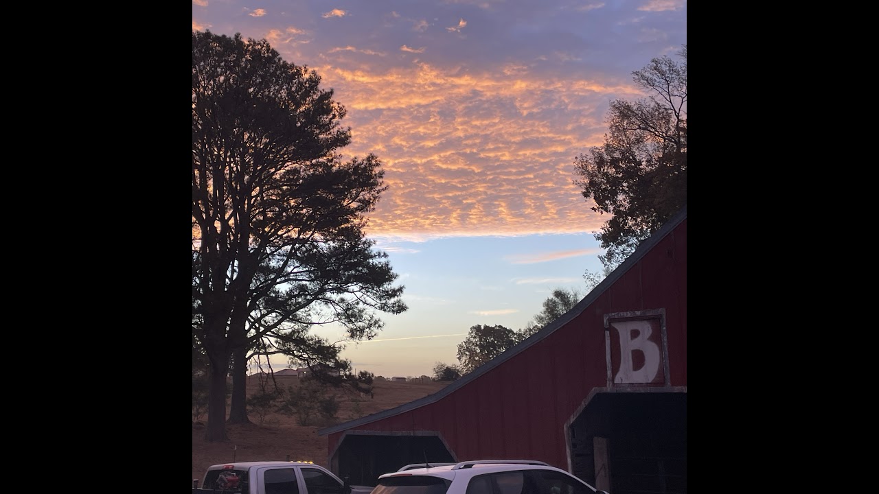 @riley_britton Live Stream - YouTube