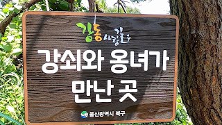 강동사랑길 4코스 영상