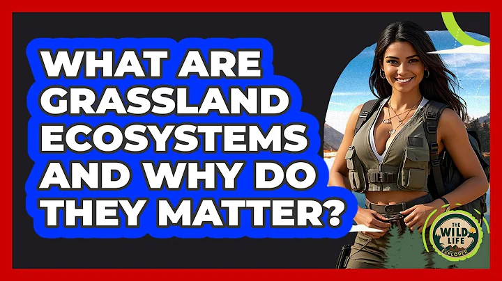 What Are Grassland Ecosystems And Why Do They Matter? - The Wild Life Explorer