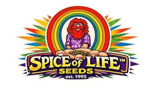 AGP: Interview with Breeder Steve/Spice of Life Seed Co