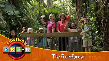 Rainforest | Virtual Field Trip | KidVision Pre-K