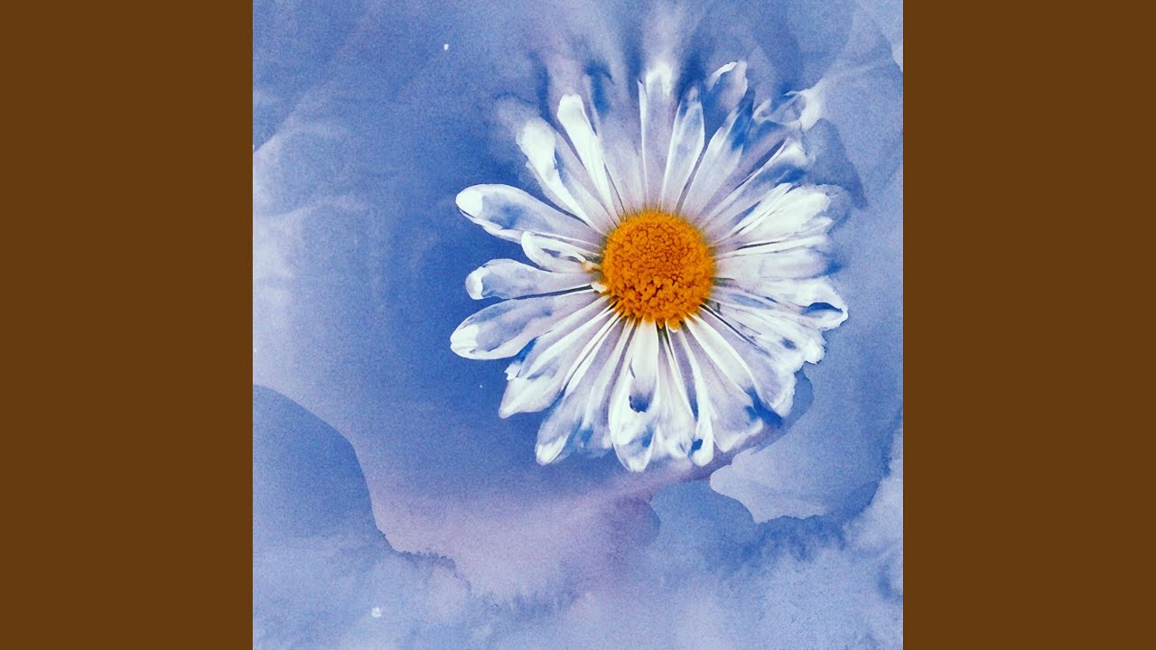Watch Goodbye oxeye daisy on YouTube Watch Goodbye oxeye daisy on YouTube
