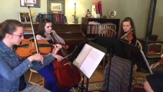 Centerville String Quartet - La Rejouissance