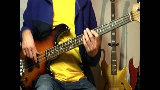 Video-Miniaturansicht von „Brian Hyland - Itsy Bitsy Teenie Weenie Yellow Polkadot Bikini - Bass Cover“