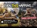 🎥 Daylight Wildlife — March 29, 2026 | Calm Before the Storm? 🌤️➡️❄️